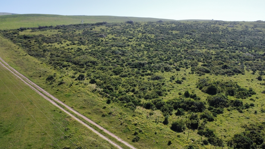 0 Bedroom Property for Sale in Cannon Rocks Eastern Cape